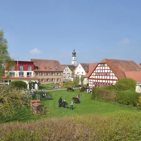 Holunderbluete Colmberg